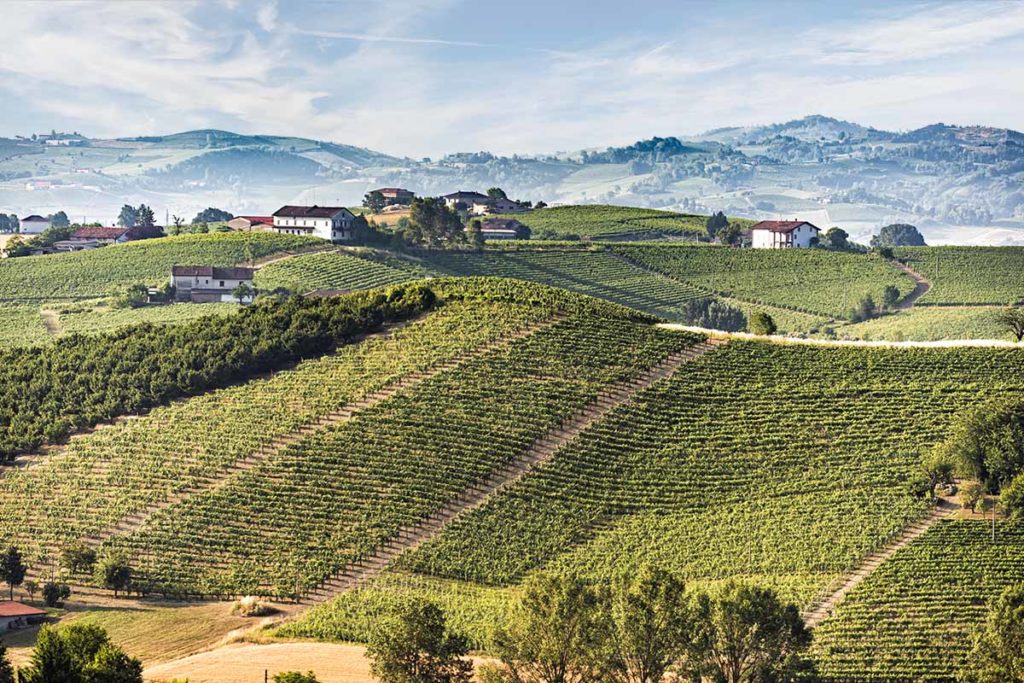 Monferrato un territorio inebriante! • Vinchio Vaglio